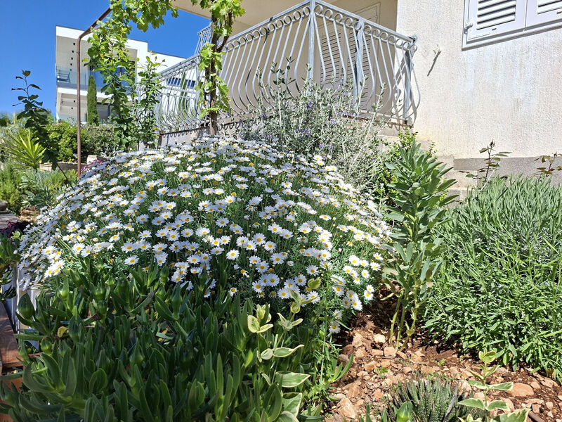 Apartmány Mama