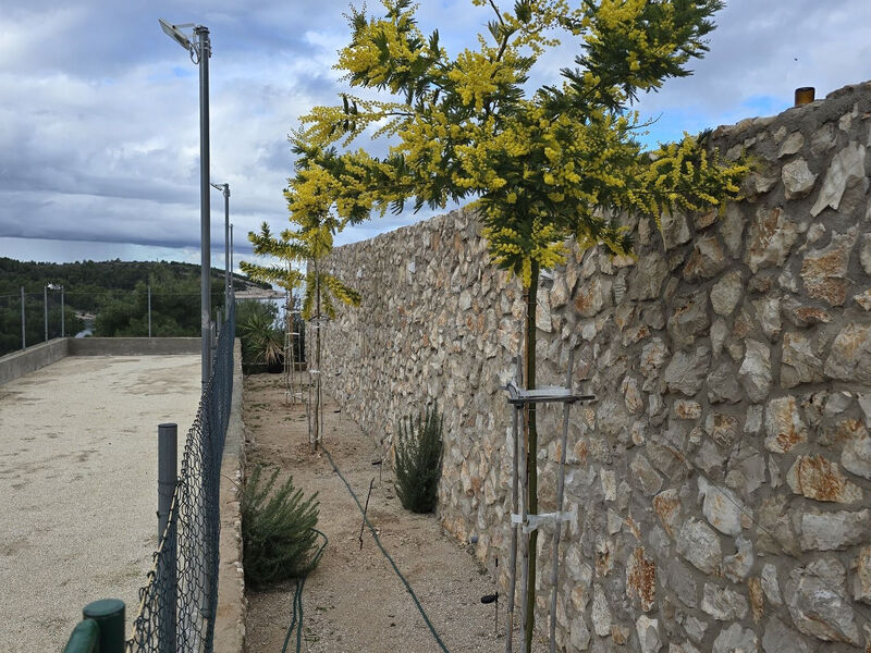Robinzonáda Eugenia