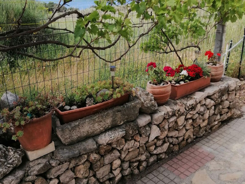 Robinzonáda Vinograd