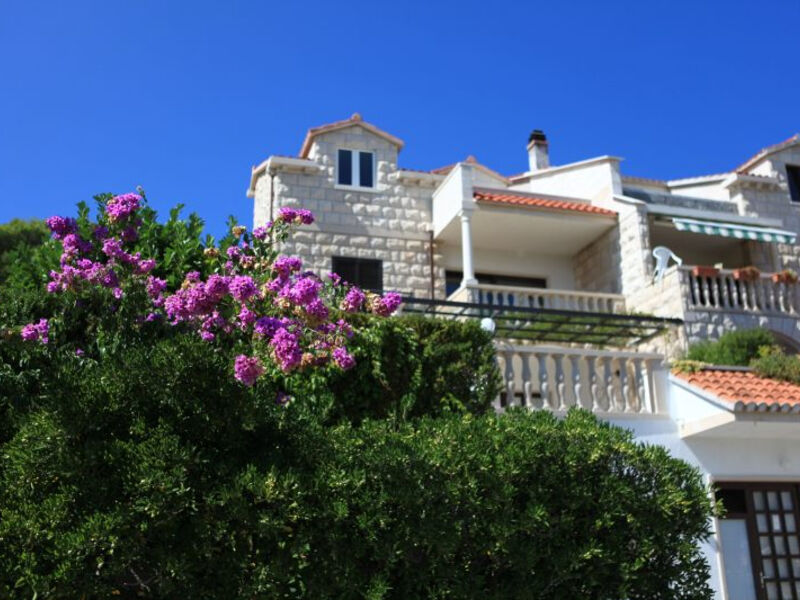 Apartmán Mandarina