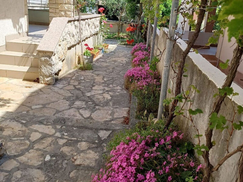 Apartmány Sava