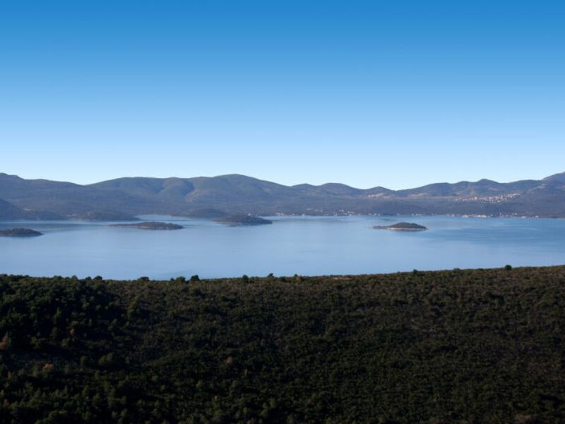 Vila Dalmatinka