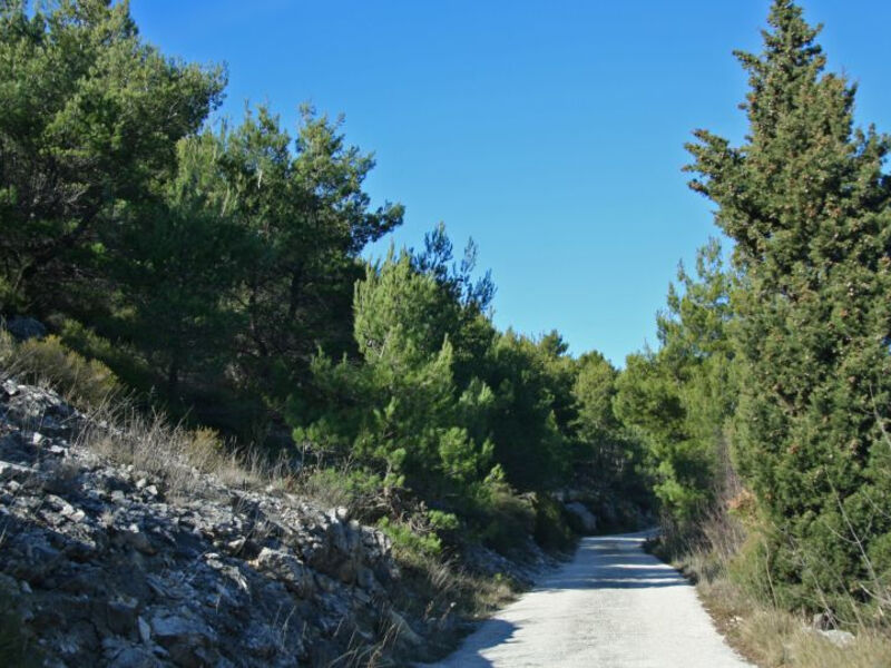 Vila Dalmatinka