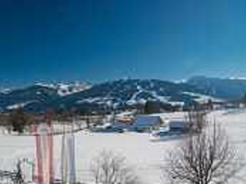 Hotel Almfrieden