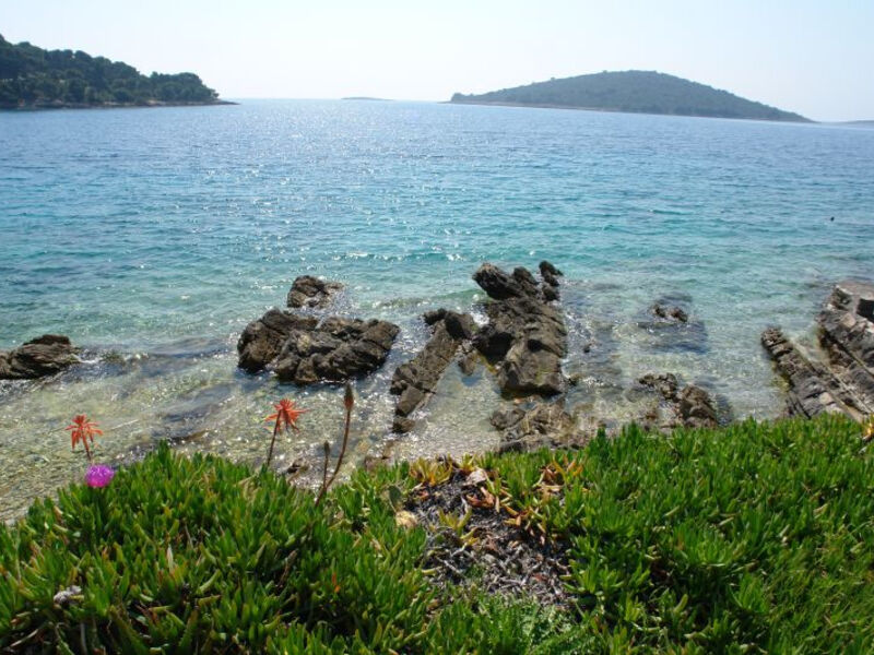 Apartmány Zlatko