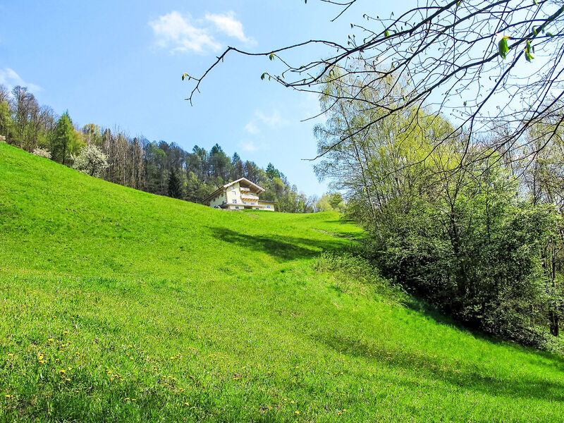 Achtalgut