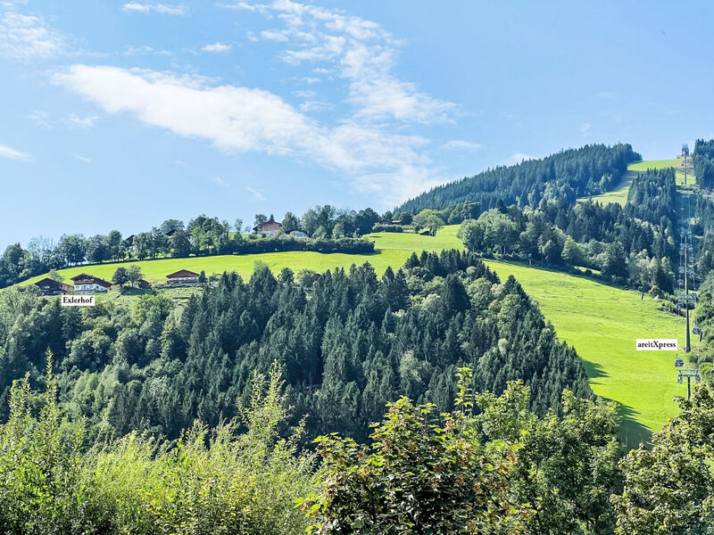 Gletscherblick incl. Summercard