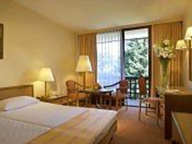 Hotel Danubius Health Spa Resort Sárvár