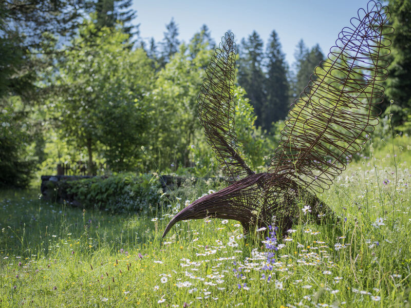 Waldblick