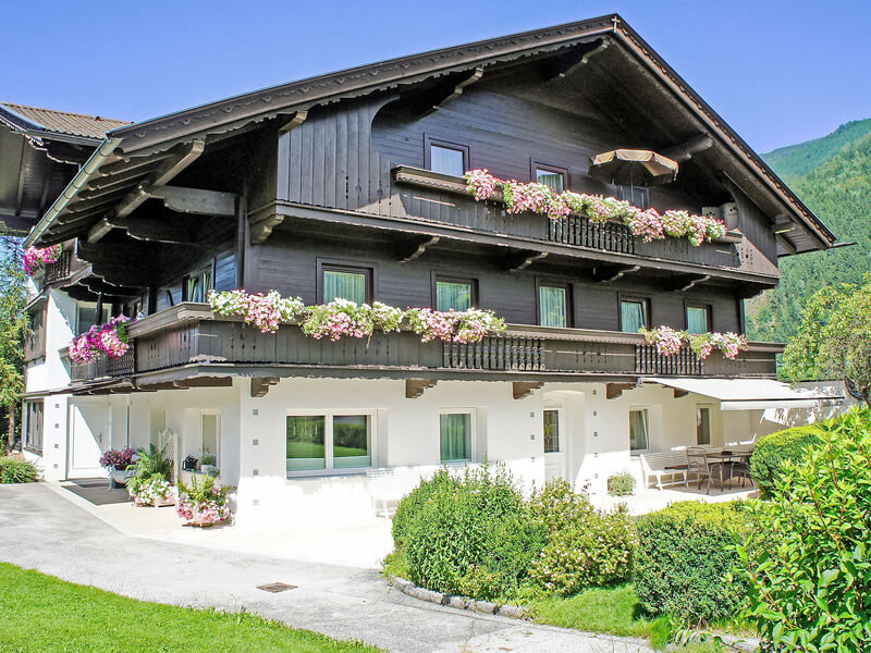 Wildauer