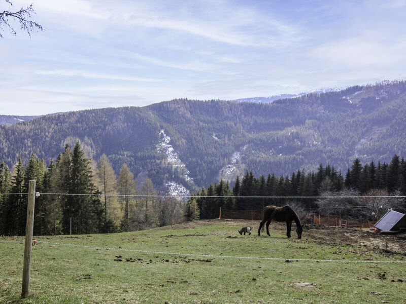 Kopphütte