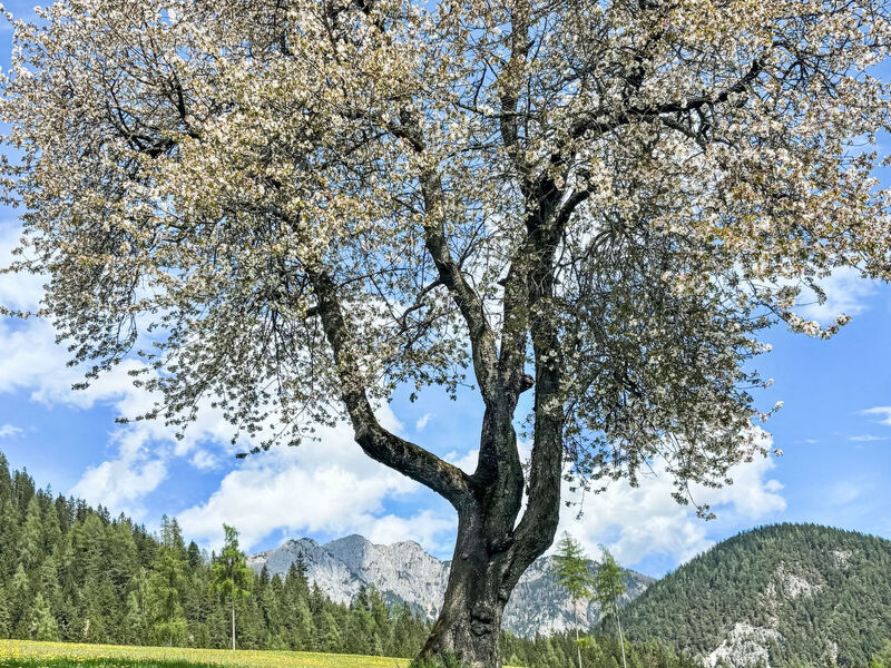 Siedlerhof