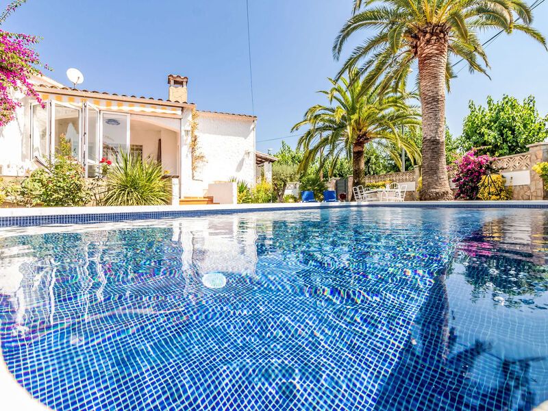 Casa D'Ibis