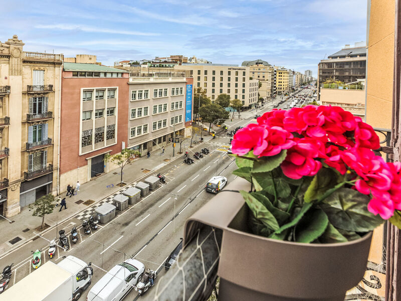 Eixample Dret Aragó Roger de Lluria
