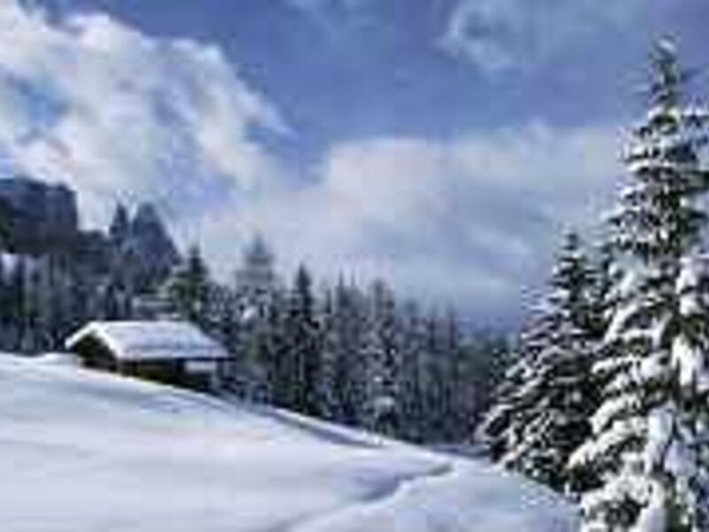 Sonnenhotel Adler