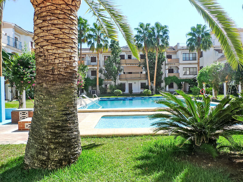 El Patio
