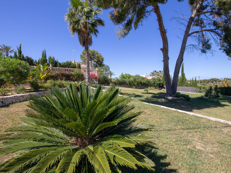 Cala Vista