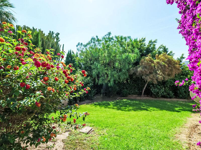 Tesoro Park