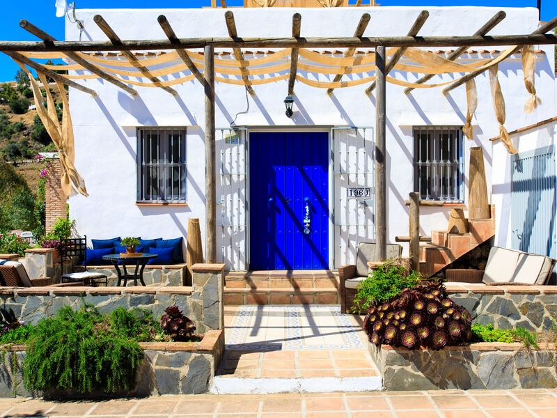 Camelia Blanca