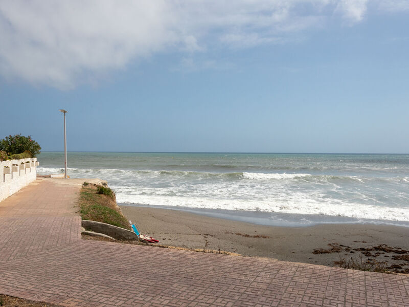 First Line Arena Beach