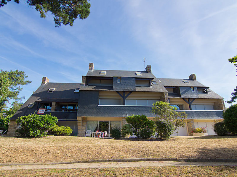 D'Arvor