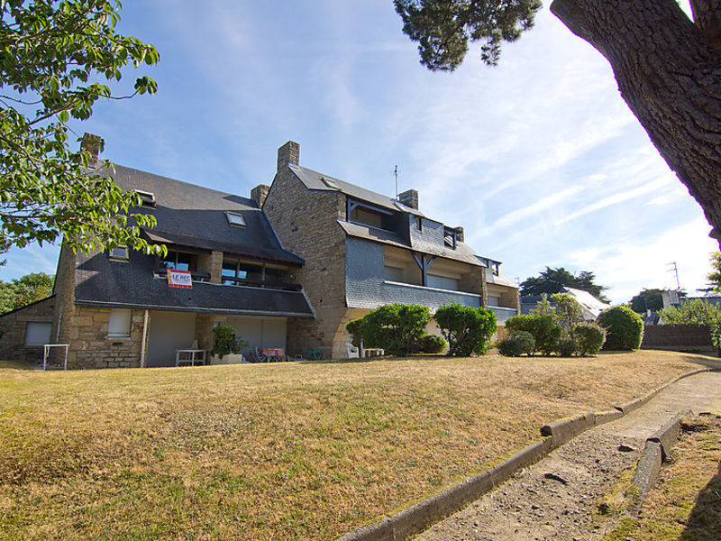 D'Arvor