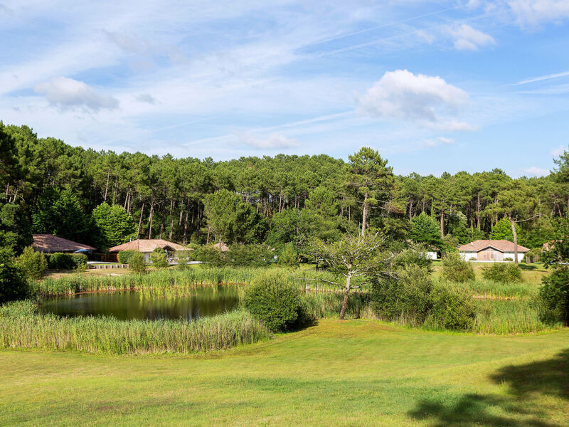 Clairière Aux Chevreuils