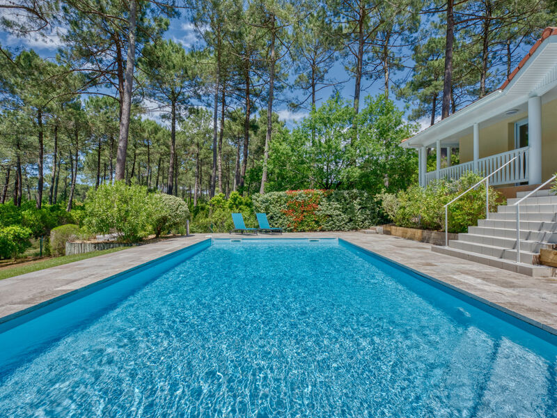Eden Parc