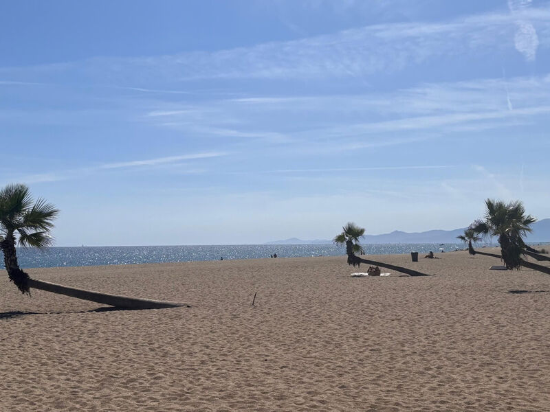 The Olive Retreat