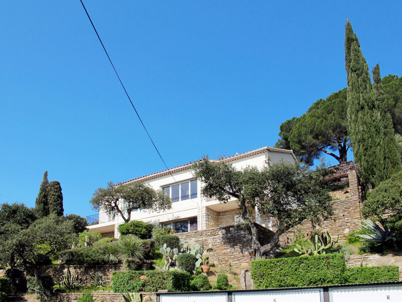 Montemare