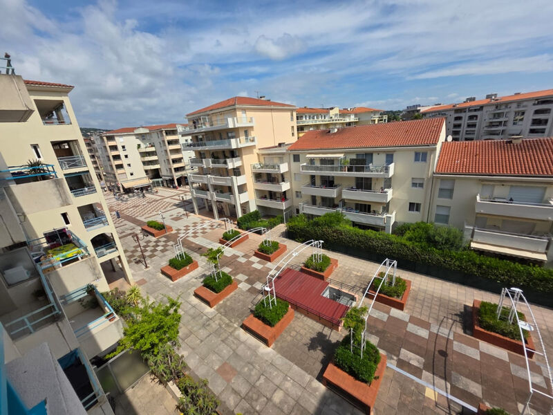Les Pins Bleus