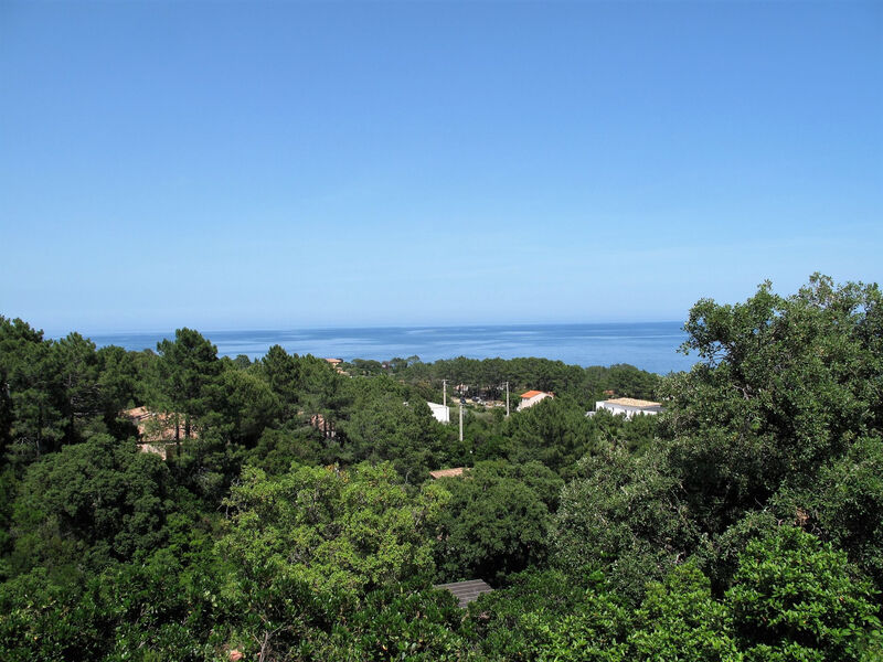 Vila Orizonte