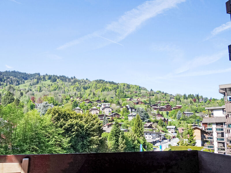 Castel Des Roches