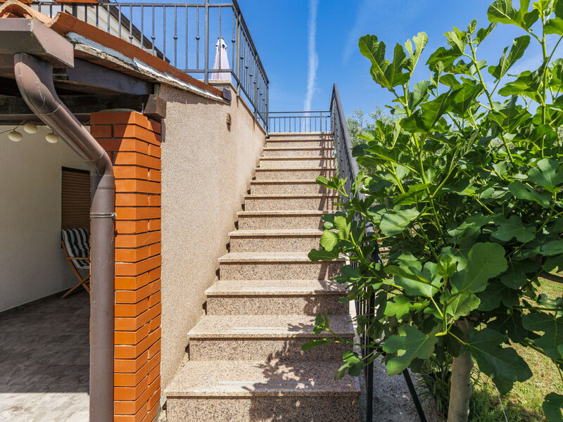 Olivo