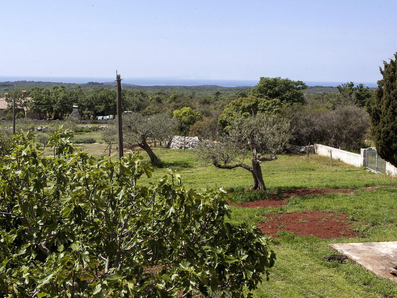 Villa Ana