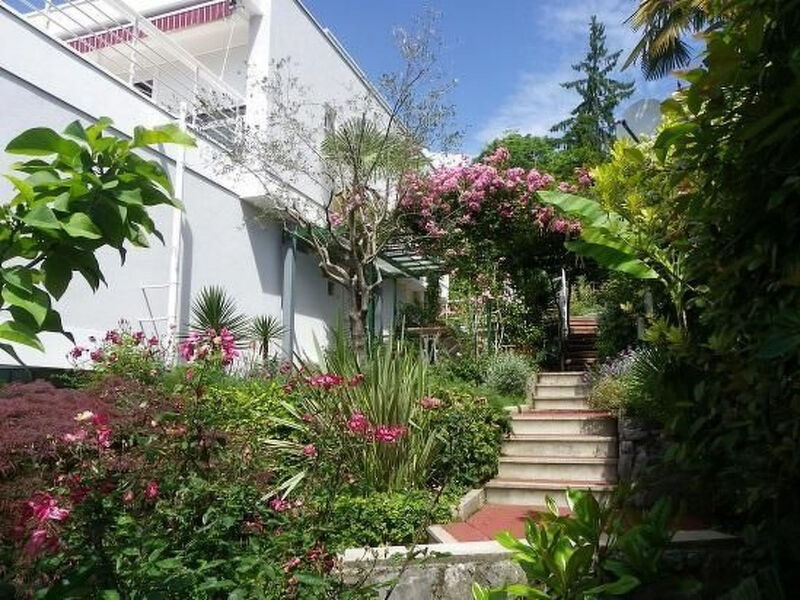 Sunny Garden