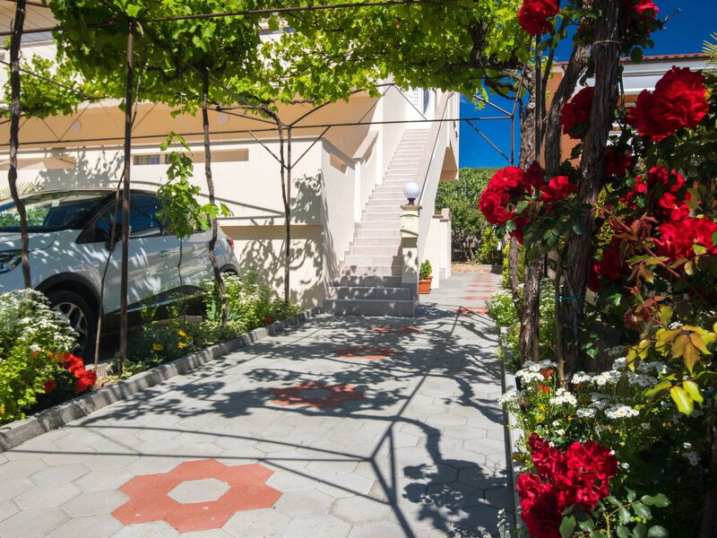Apartman Nikola