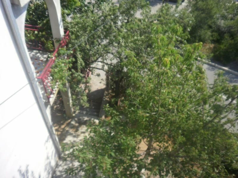 Manda 2