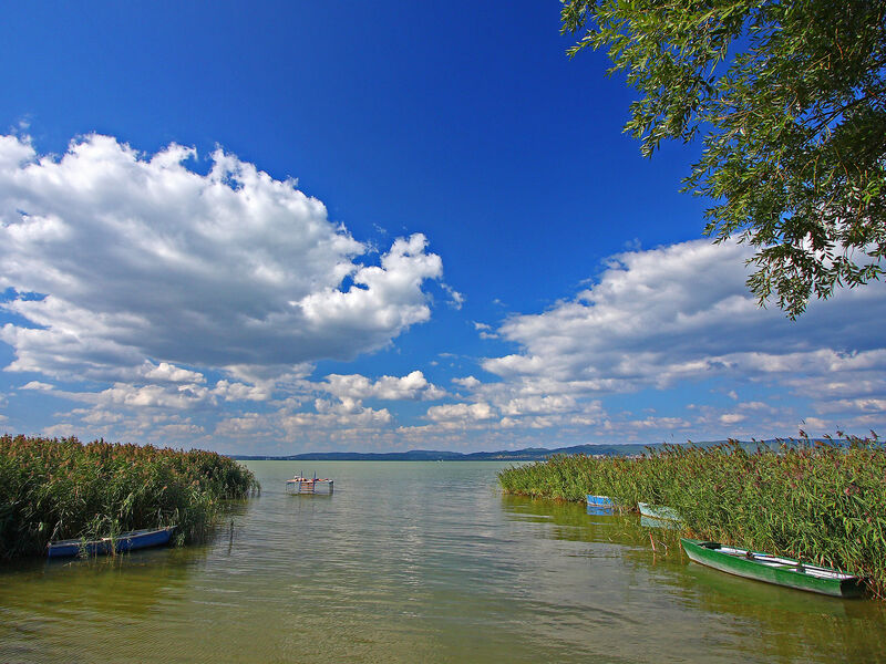 Balaton H458