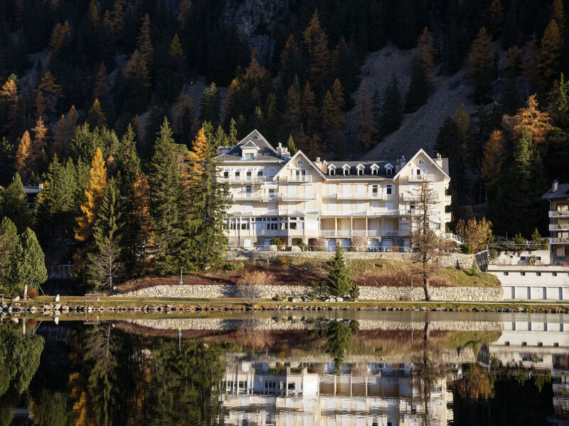 Alpes Et Lac