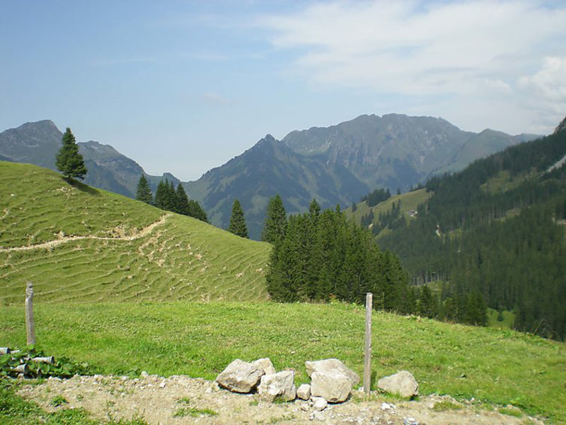 Höfli