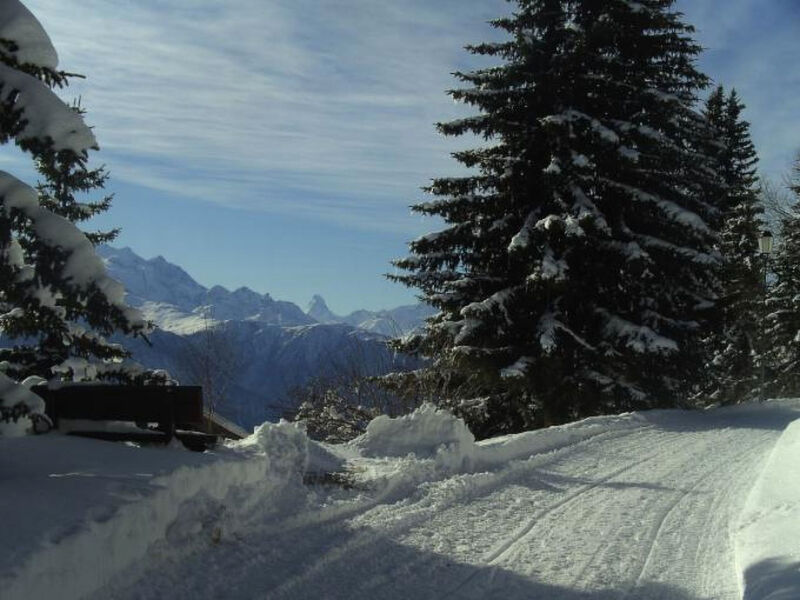 Almenrausch Ost