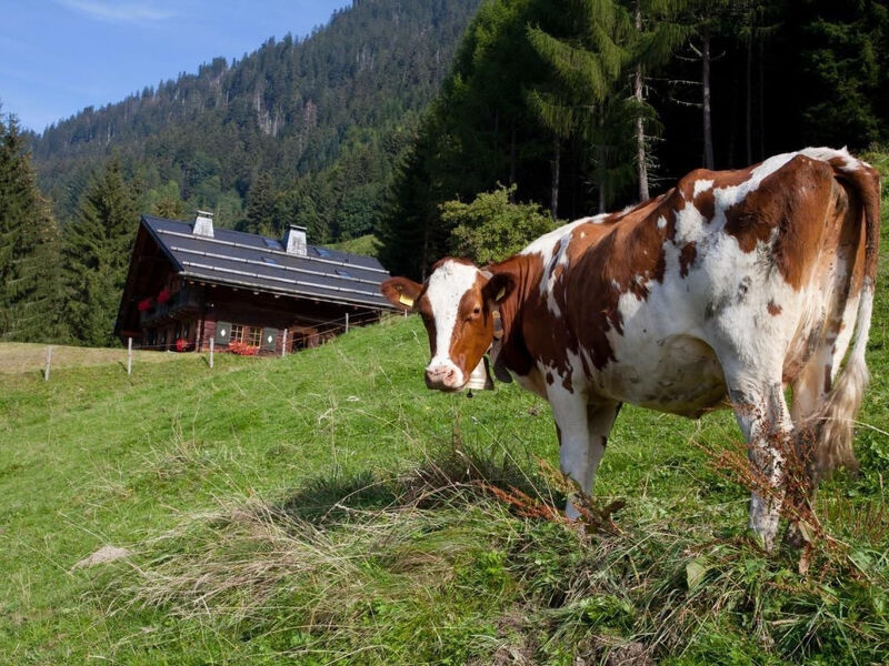Le Chalet de Lara