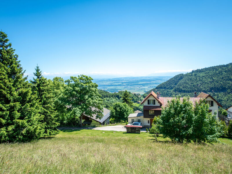 Centaure