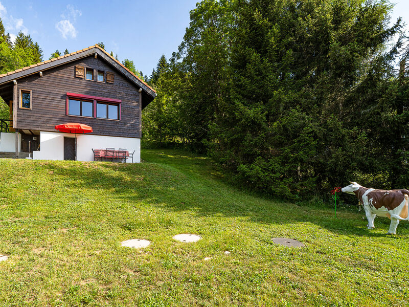 Chalet De La Vue Des Alpes