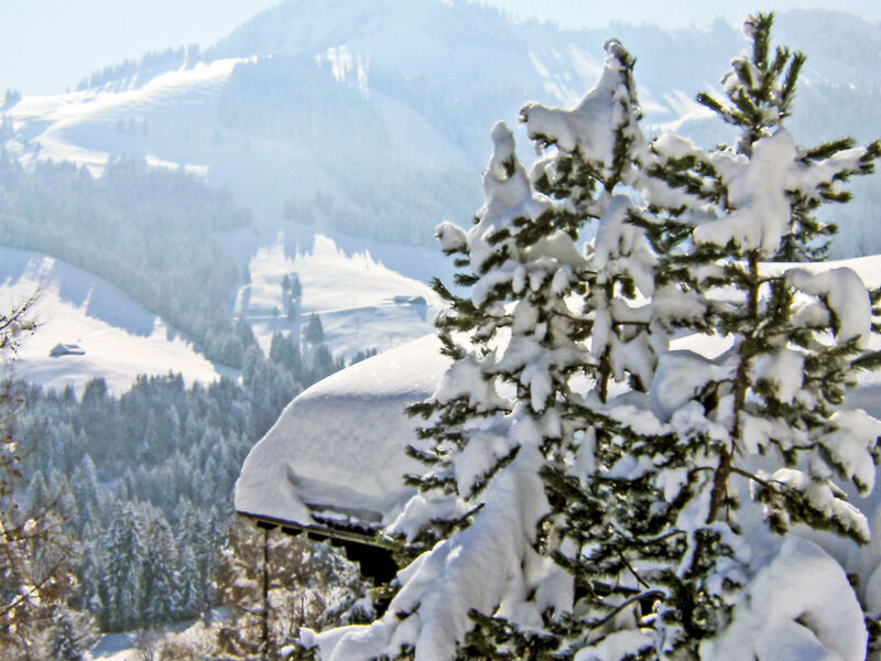 Le Chamois