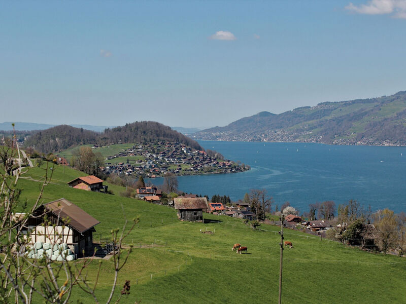 Seepark, direkt am See