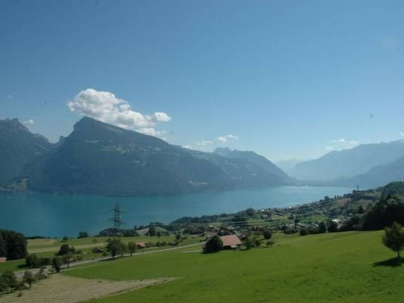 Chalet Rosenthaler
