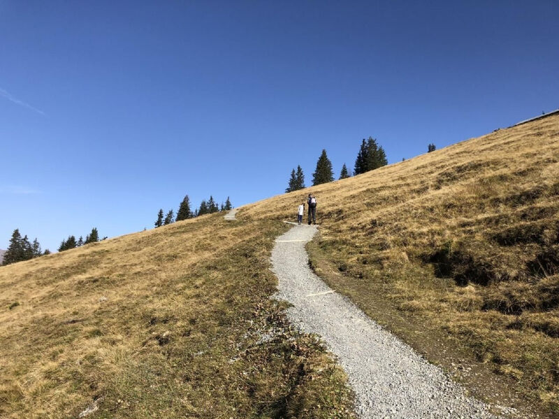 Chalet Bärgblüemli
