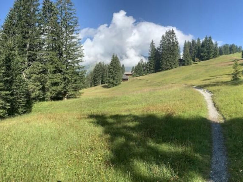 Chalet Bärgblüemli